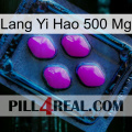 Lang Yi Hao 500 Mg 04